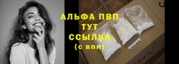 стафф Кодинск