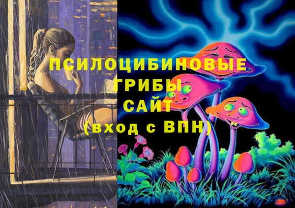трава Козельск