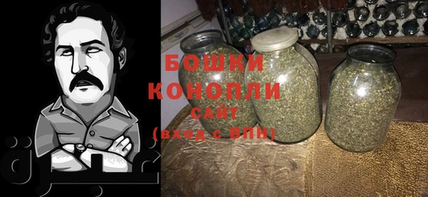 стафф Кодинск