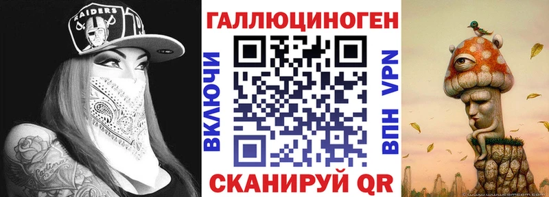 Псилоцибиновые грибы Psilocybe Куртамыш