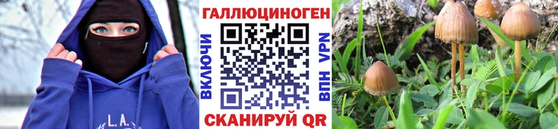 цена наркотик  Куртамыш  darknet Telegram  Галлюциногенные грибы Cubensis 